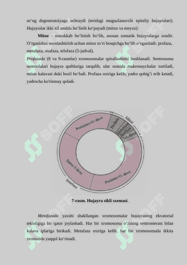 Hujayralarning mitotik va hayotiy sikli. Hujayra proliferatsiyasi. Hujayraning meyotik bo‘linishi. Mitoz va meyozning patologiyasi 2