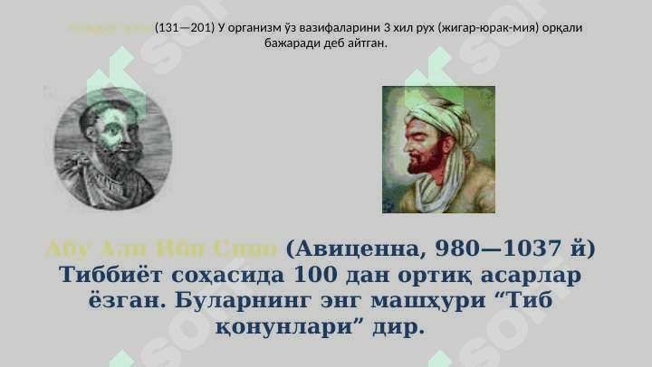Anatomiyaga kirish. Osteologiya. Umurtqalar. 5