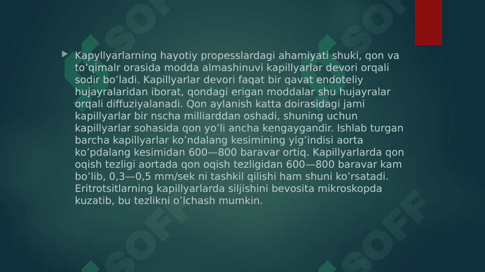 Kapilyarlarda qon aylanishi 3