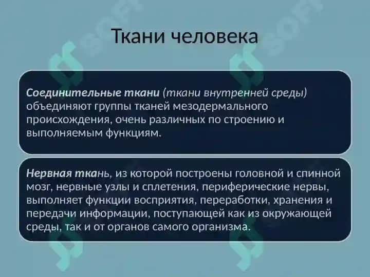 Ткани. Сложное предложение особенности его построения 6