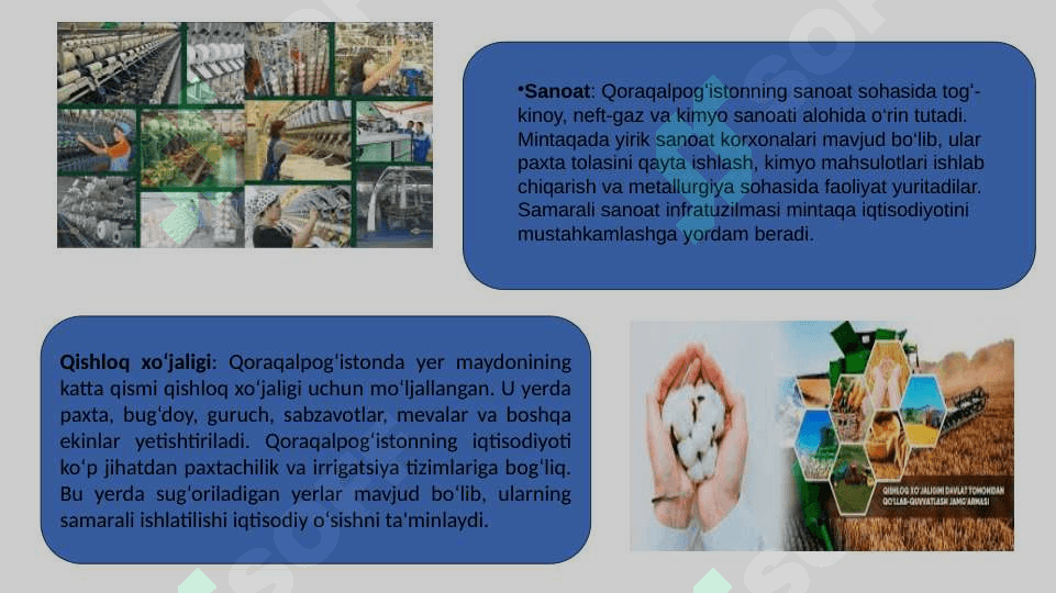 Mustaqillik yillarida Qoraqalpogʻiston respublikasi 8