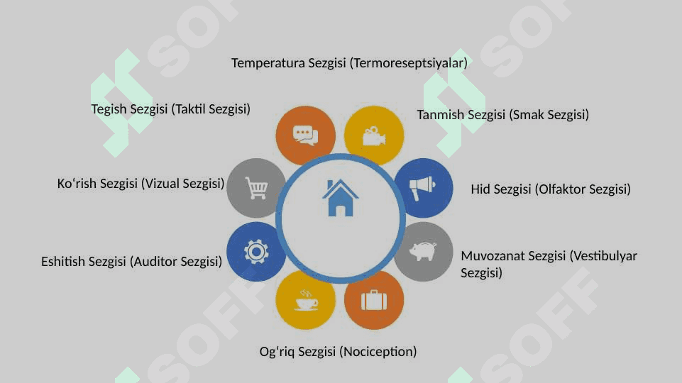 Sezgi turlari va qonuniyatlari 5