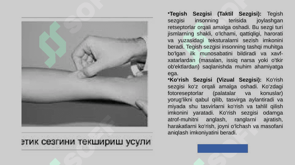 Sezgi turlari va qonuniyatlari 6