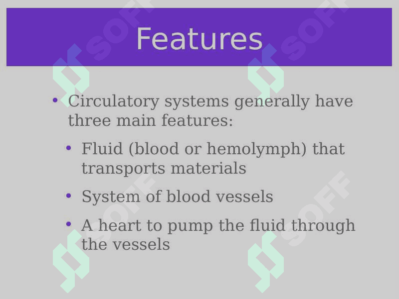 Circulatory system 3