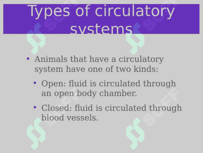 Circulatory system 4