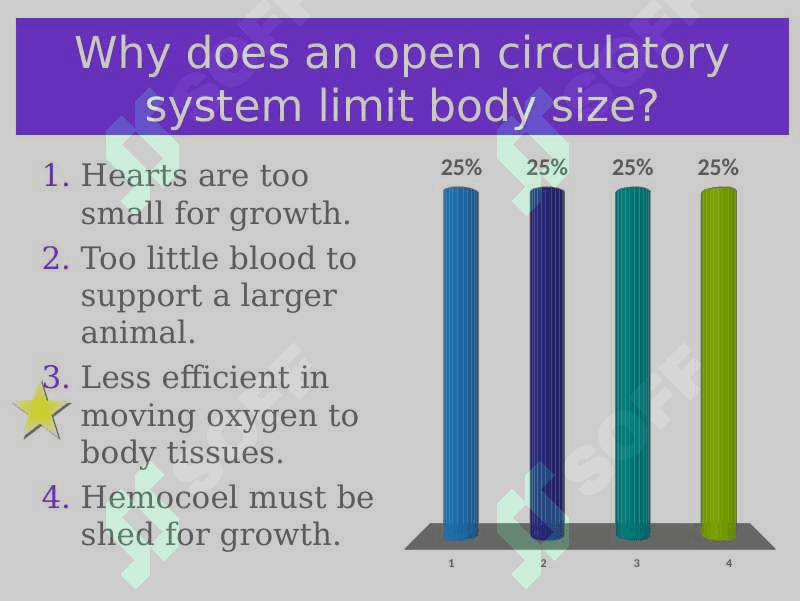 Circulatory system 7