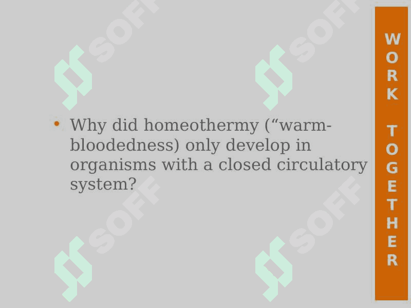 Circulatory system 8