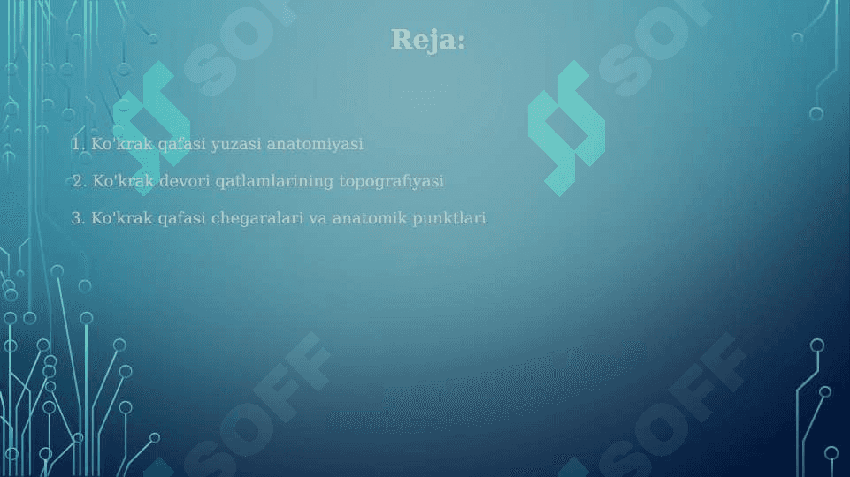 Ko'krakning yuza sohalari, chegaralari qavatlar topografiyasi 2