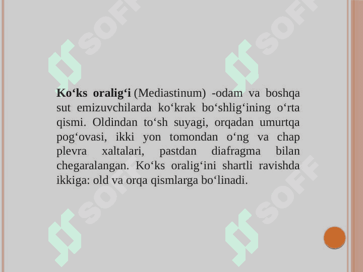Ko'ks oralig'i haqida tushuncha 2