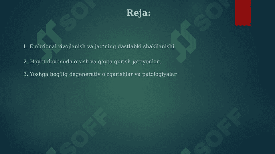 Yuqori va pastki jag'ning  tuzulishi, yoshda doir xususiyatlari 2