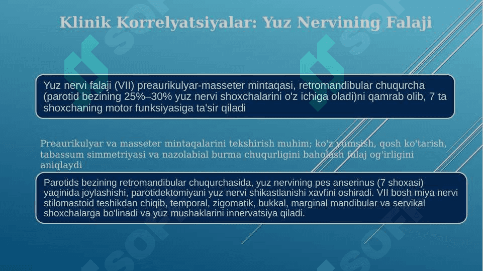 Yuzning yon bo'limi quloq oldi-chaynov, jag orti chuqurchasi quloq oldi so'lak bezi, yuz nervi topografiyasi 2