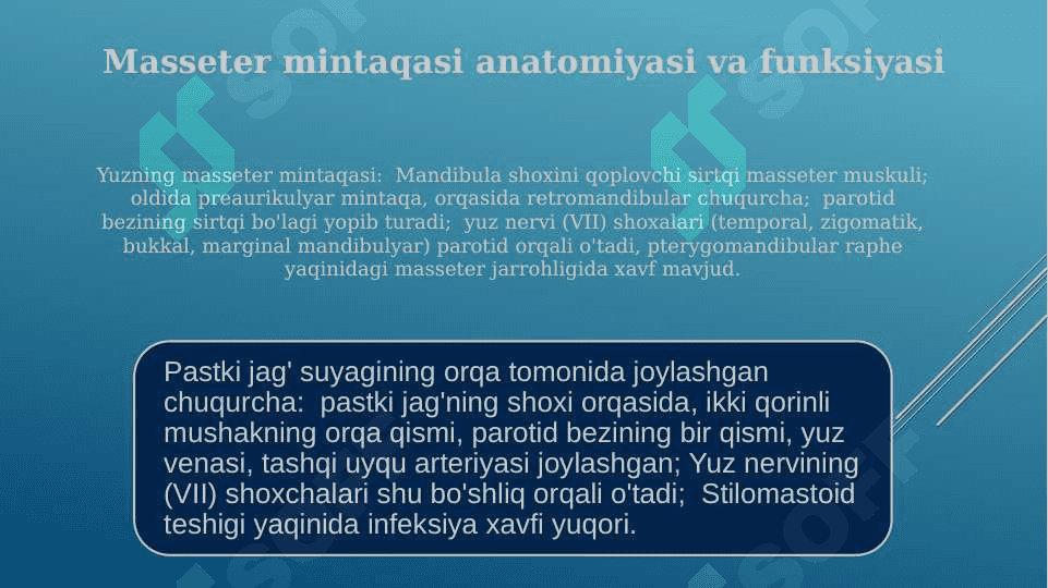 Yuzning yon bo'limi quloq oldi-chaynov, jag orti chuqurchasi quloq oldi so'lak bezi, yuz nervi topografiyasi 4