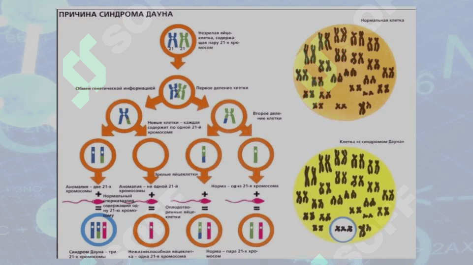 XROMOSOMA KASALLIKLARINING KELIB CHIQISH SABABLARI VA ASORATLARI 24 5