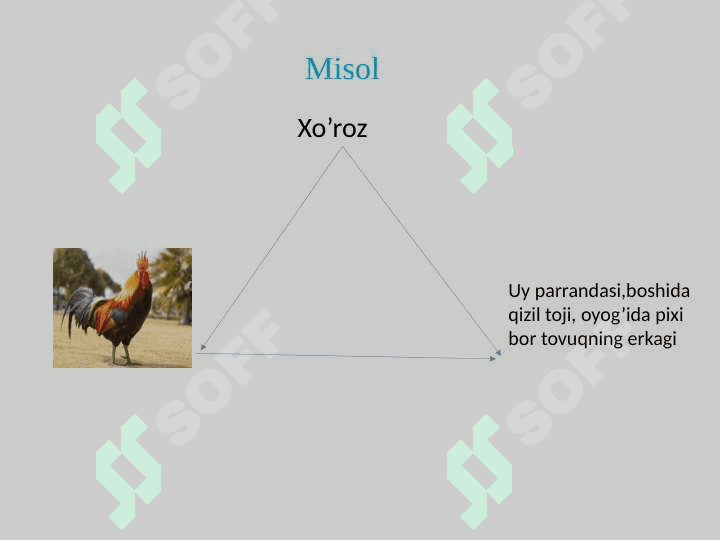 So‘z va uning ma’nosi 6