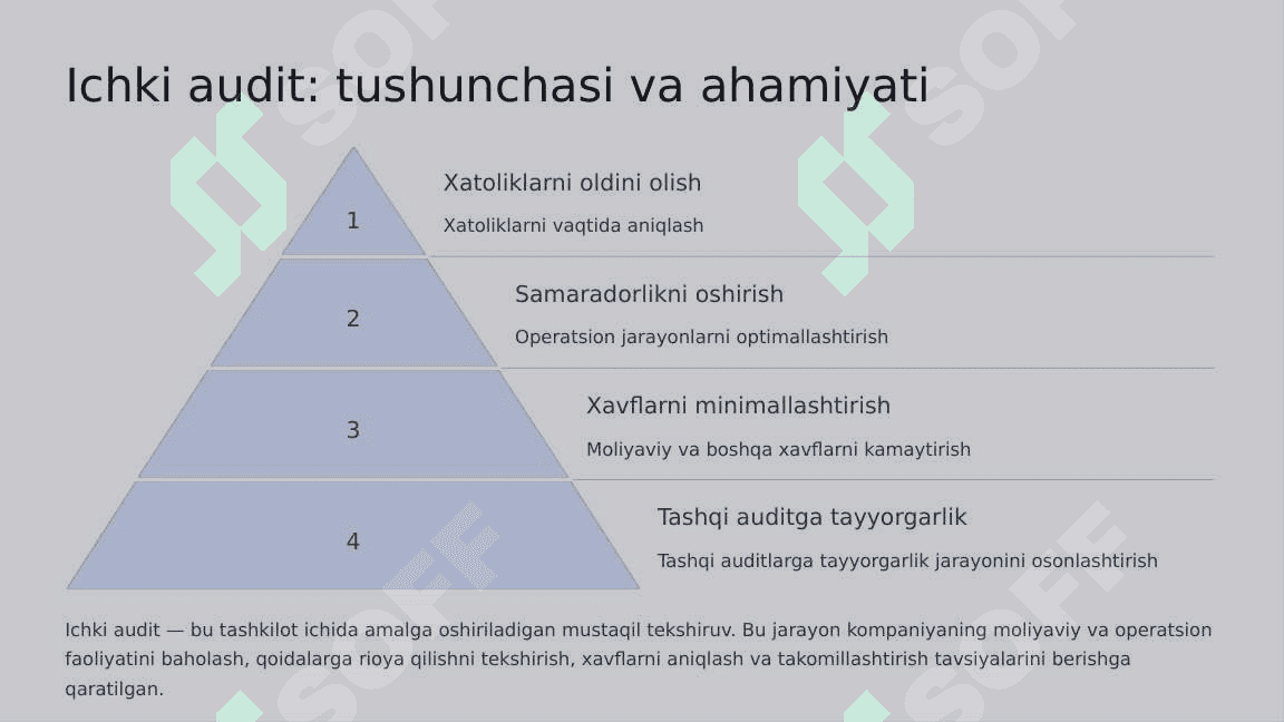 Auditing-Turlari-va-Shakllari 4