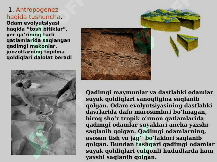 ANTROPOGENEZ 2