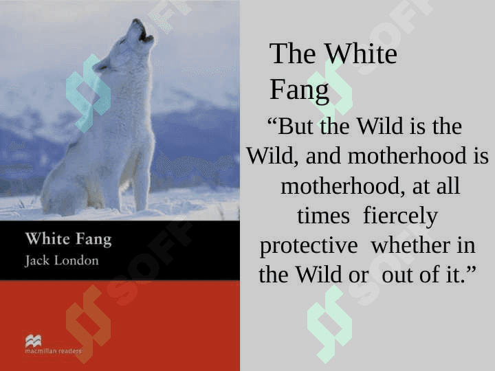 American  Writers 4