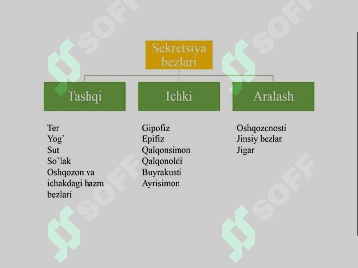Ichki sekretsiya bezlarining yosh xususiyati va endokrin kasalliklari 3