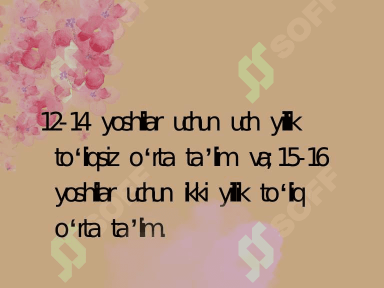 Malayziya davlatida ta’lim tizimi 4