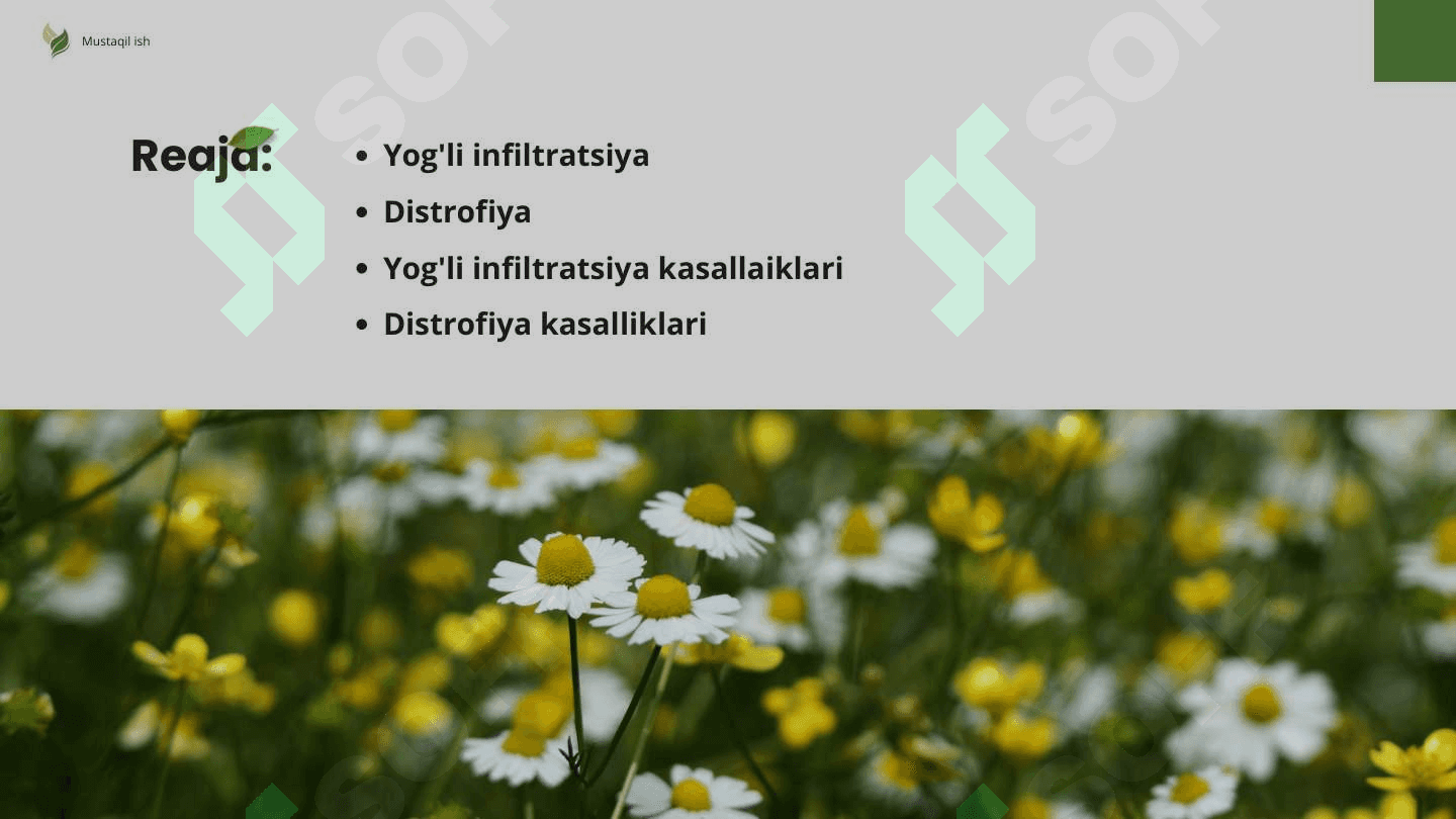 Yog'li infiltratsiya va distrofiya 2