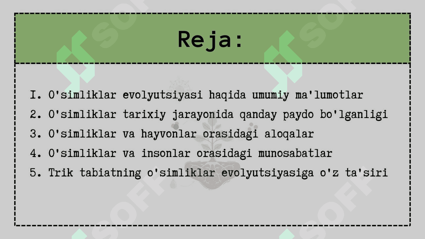 O’simliklar evolyutsiyasi 2
