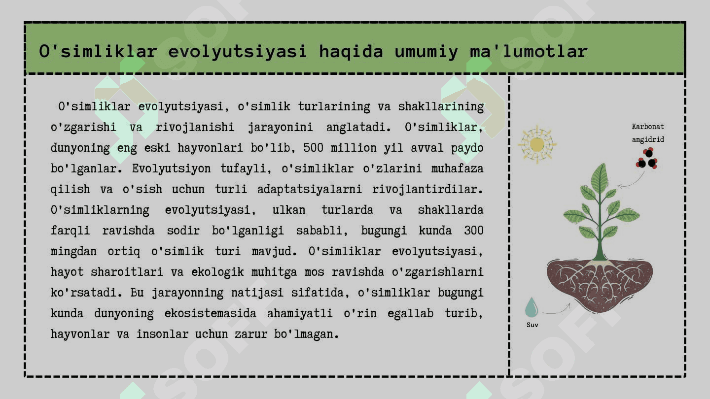 O’simliklar evolyutsiyasi 3