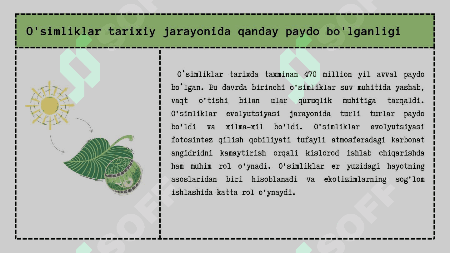 O’simliklar evolyutsiyasi 4