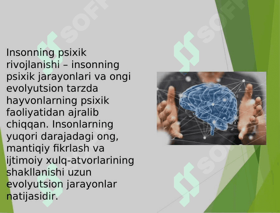 PSIXIKANING FILOGENETIK TARAQQIYOTI 4