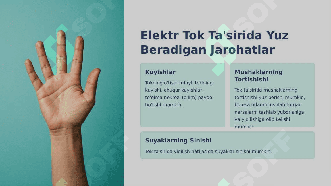 Elektr tokining organizmga ta'siri 4