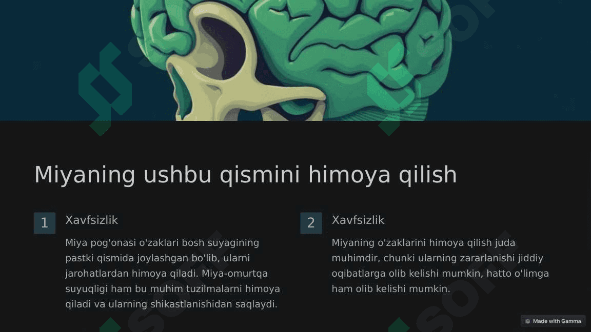 Miya pog'onasi o'zaklari,va ularning ahamiyati. 6