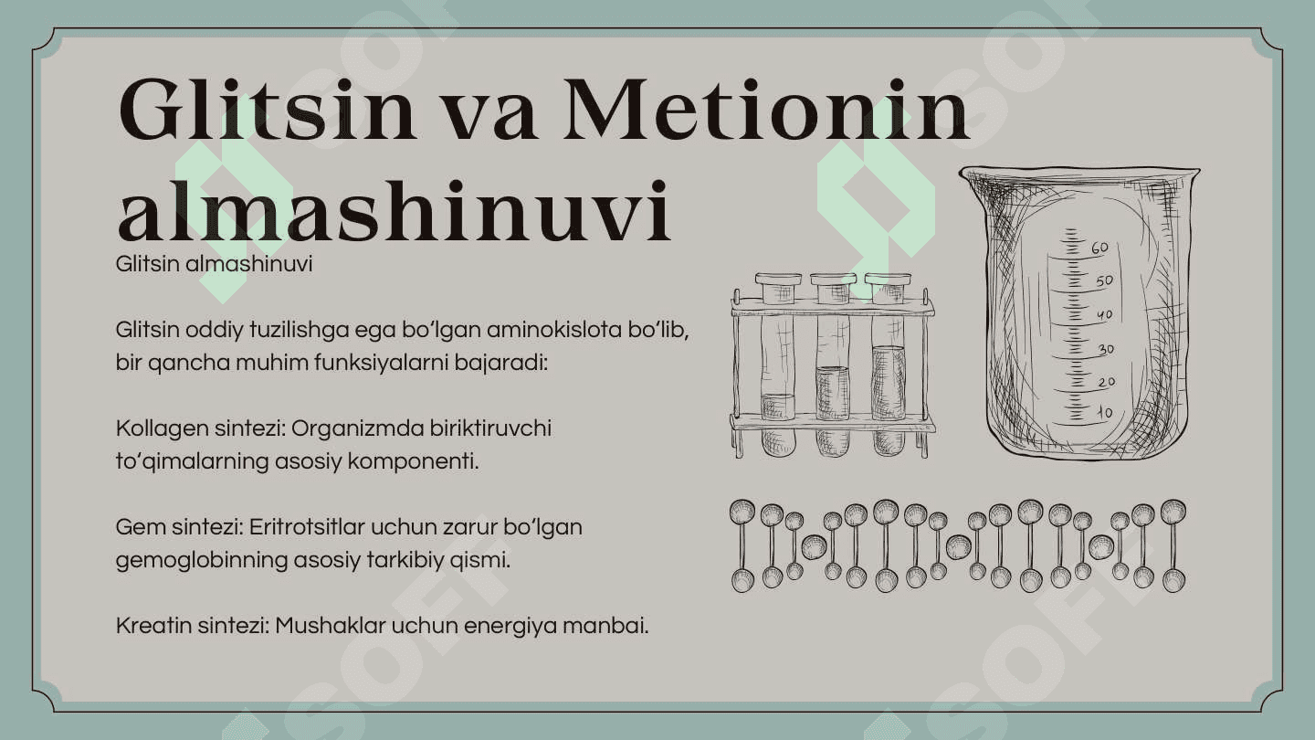 Alohida aminokislotalar almashinuvi 2
