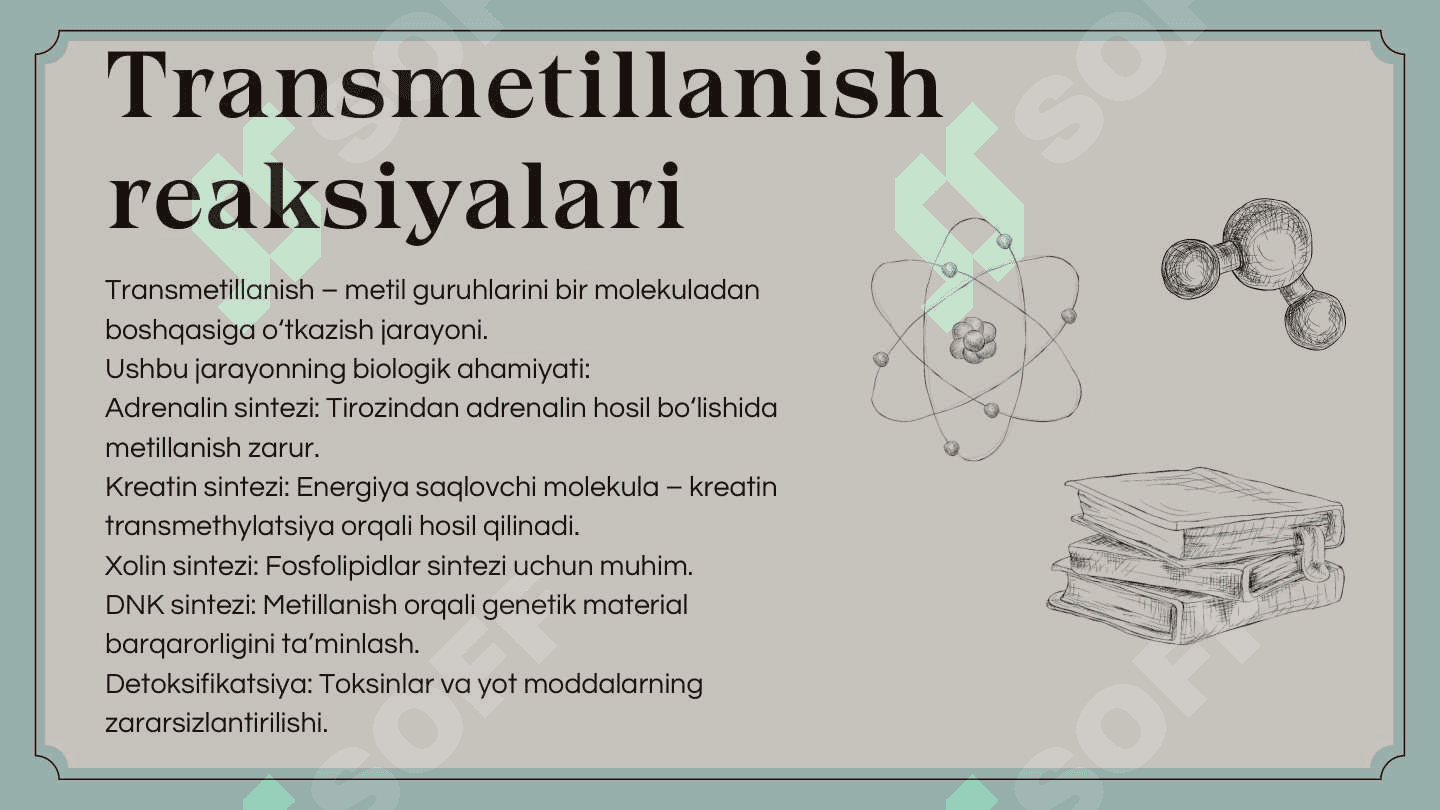 Alohida aminokislotalar almashinuvi 4