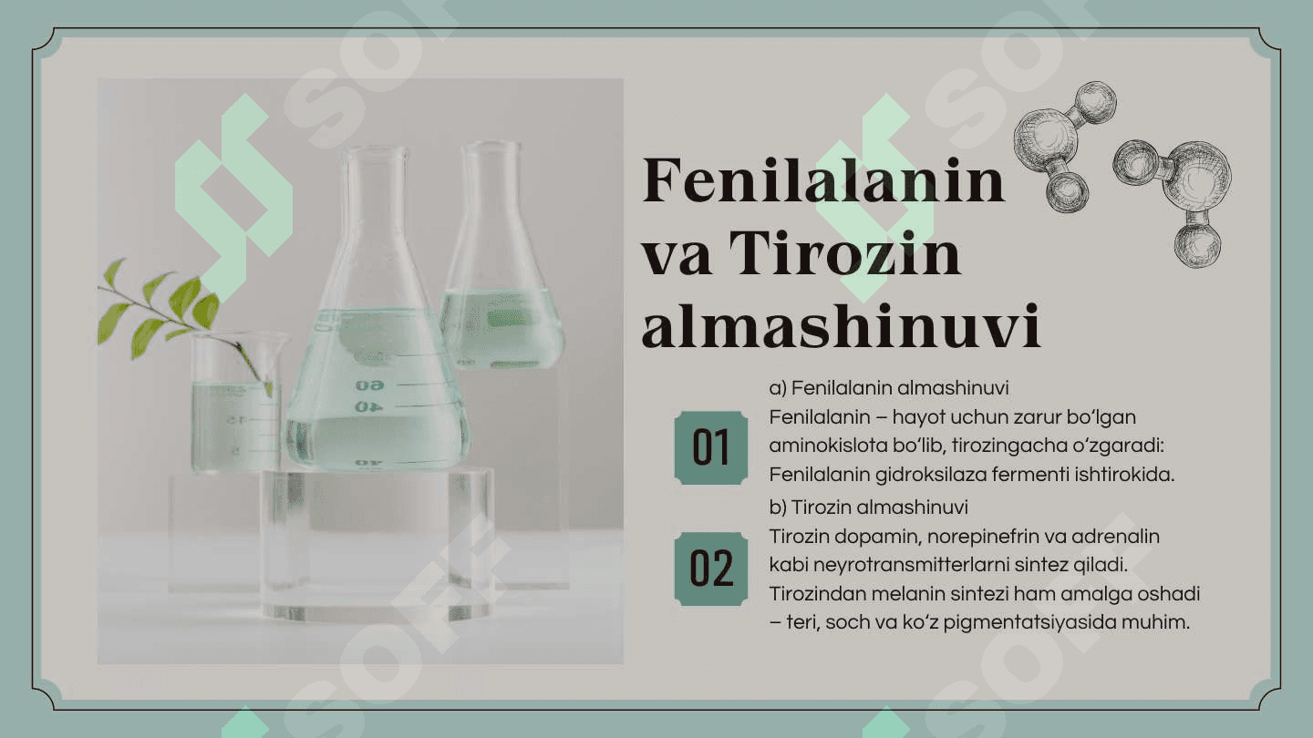 Alohida aminokislotalar almashinuvi 7