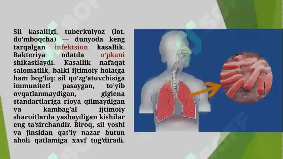 Sil va bronxial astma kasalliklari bilan og‘rigan maktab o‘quvchilari bilan mashg‘ulot o‘tish tamoyillari (TAQDIMOT) 3
