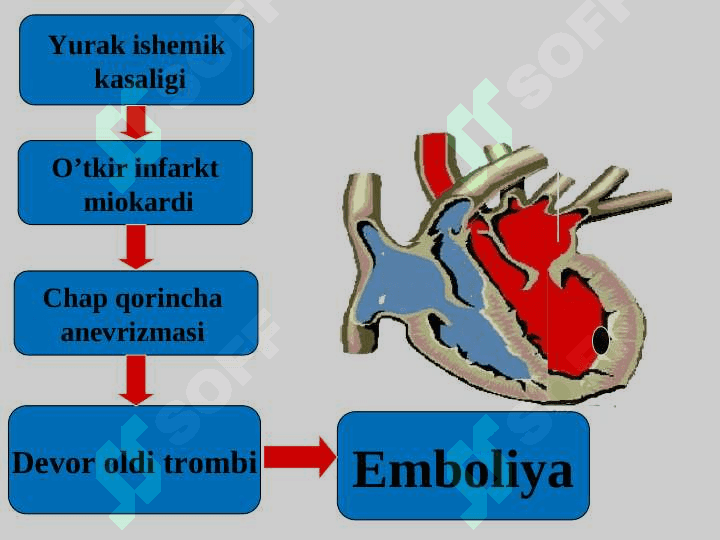 EMBOLIYA VA MAHALLIY ASORATLARI 5