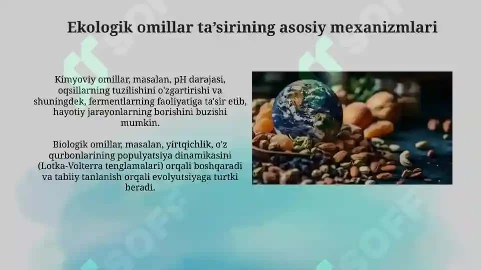 Turli ekologik omillarning tirik organizmlarga taʼsir etish mexanizmlari 2
