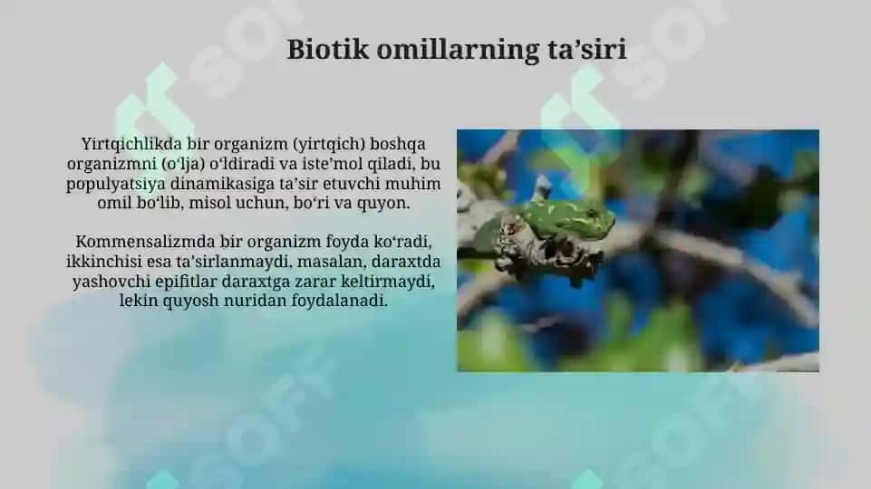 Turli ekologik omillarning tirik organizmlarga taʼsir etish mexanizmlari 3