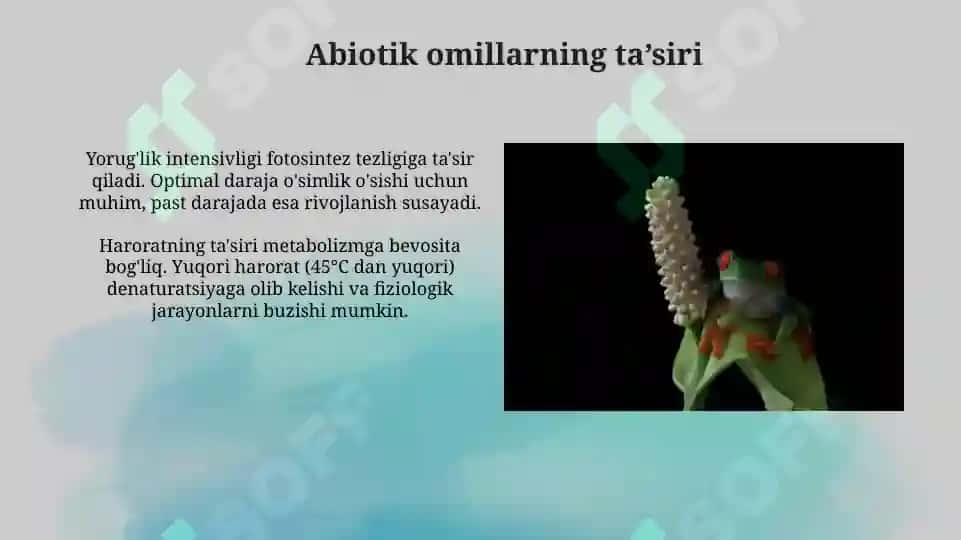 Turli ekologik omillarning tirik organizmlarga taʼsir etish mexanizmlari 4