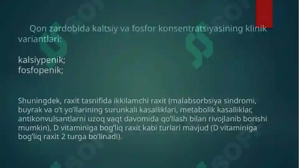 Raxit 3