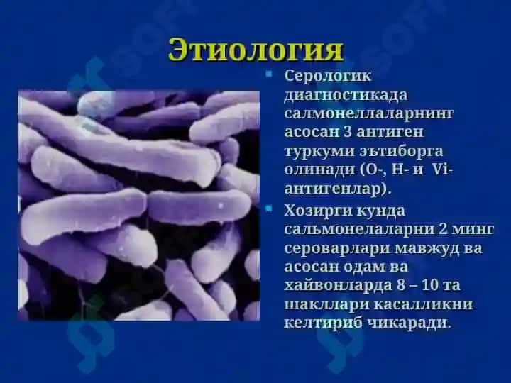 Сальмонеллез 5