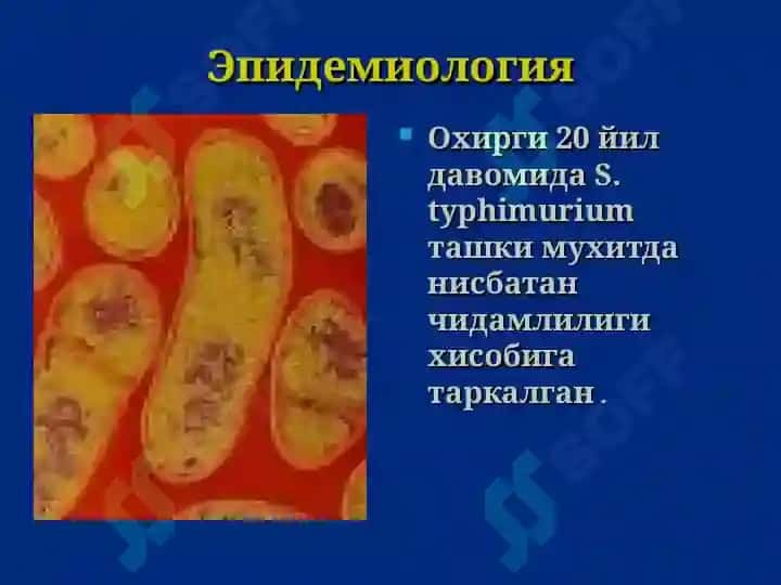 Сальмонеллез 8
