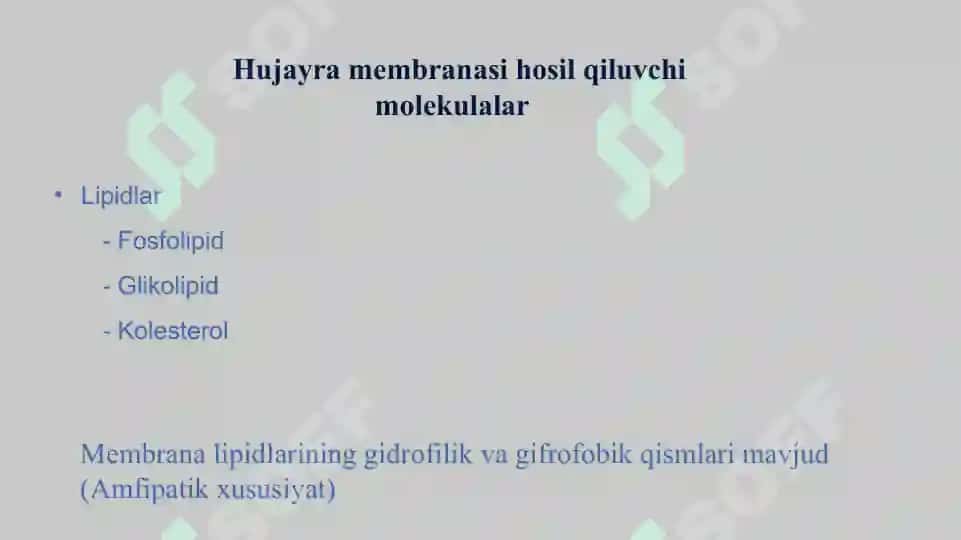 BIOMEMBRANALAR BIOLOGIK KIMYO 6
