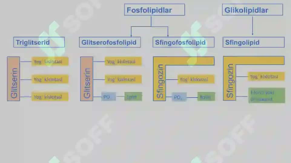 BIOMEMBRANALAR BIOLOGIK KIMYO 8