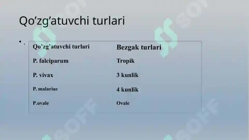 Bezgak 3