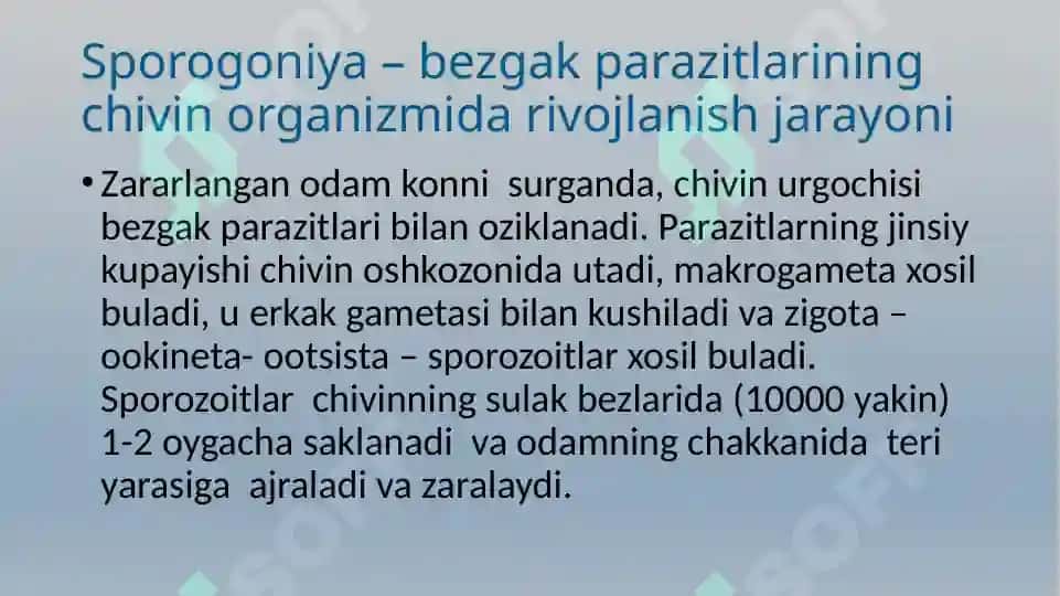 Bezgak 6