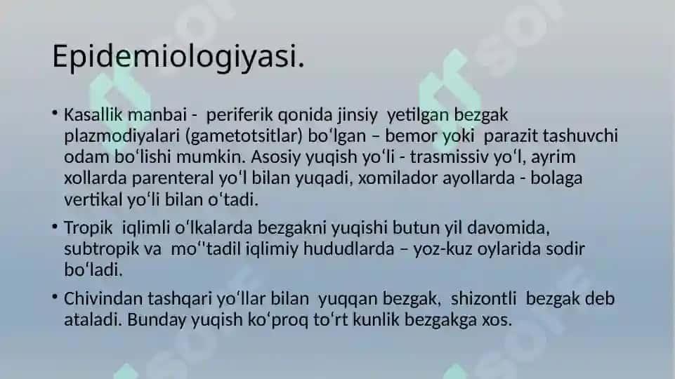 Bezgak 7