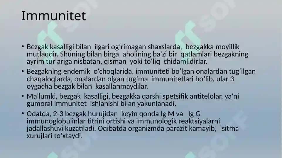 Bezgak 8
