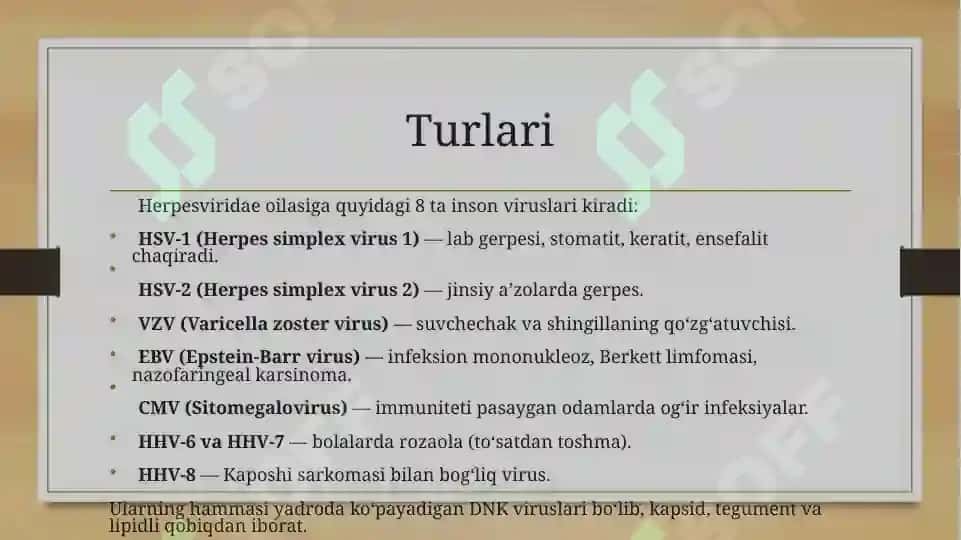 Gerpes virusi 3