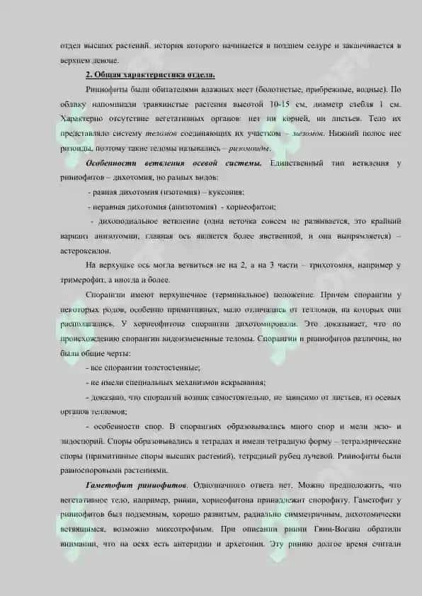 ОТДЕЛ  РИНИОФИТЫ  (RHYNIOPHYTA) 2
