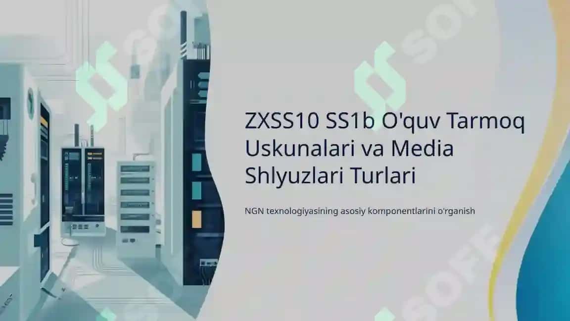 ZXSS10 SS1b O'quv Tarmoq Uskunalari va Media Shlyuzlari Turlari 2